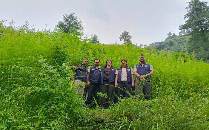 News-Thumbnail-Photo-flZNy.jpg